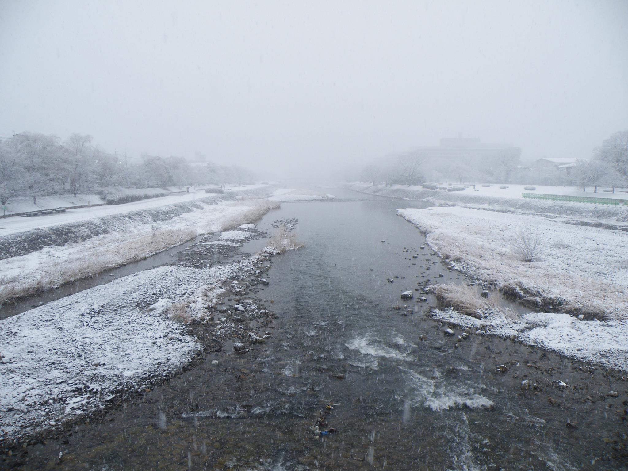 Kyoto neige 2014 7