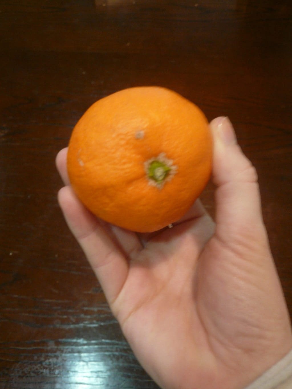 Mikan achetée, deux fois plus petite que la précédente