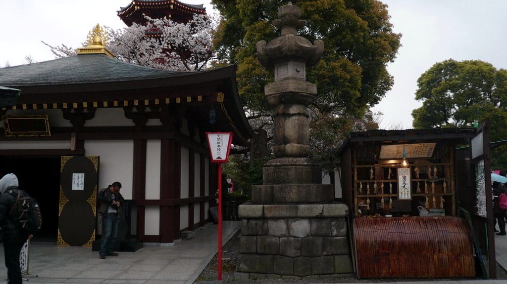 Mais les sakuras sauvent les photos