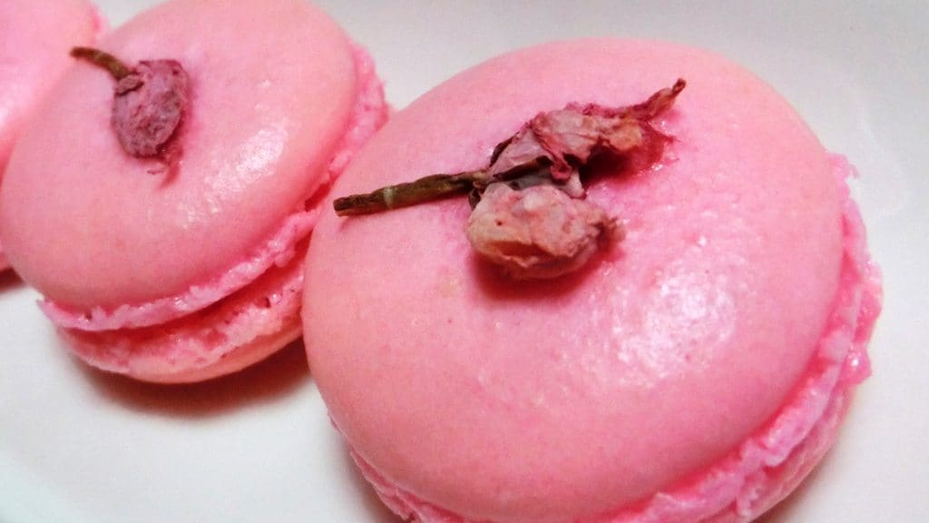 macaron-sakura-(002)