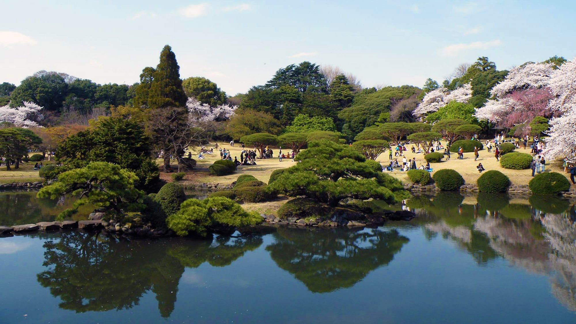  Shinjuku Gyoen  DozoDomo