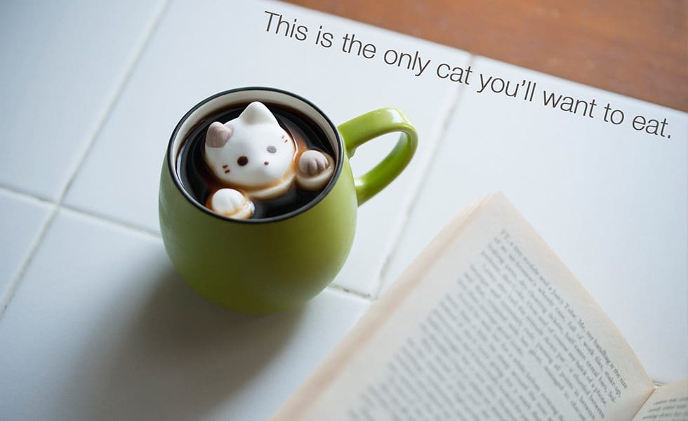 Il a des airs de notre mascotte Matcha, non ?