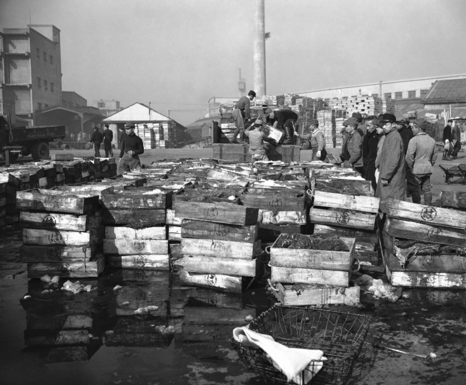 Whale-meat-is-piled-on-the-wharves-as-the-Banshu-Maru-1024x846