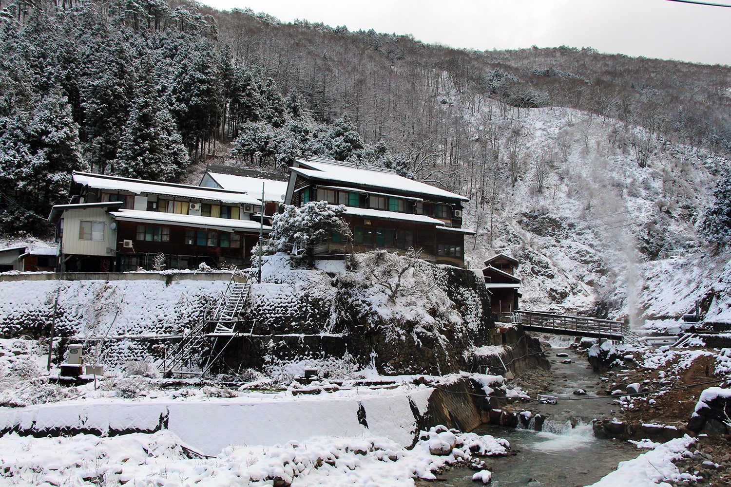 Nagano singes neige snow monkey_21