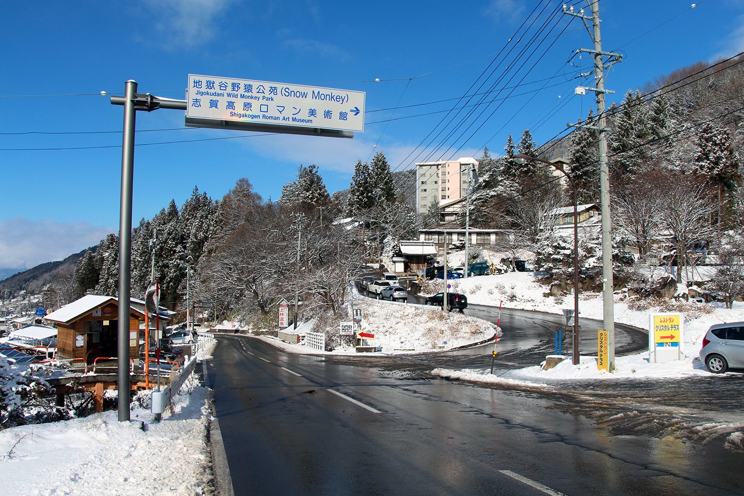 Nagano singes neige snow monkey_59