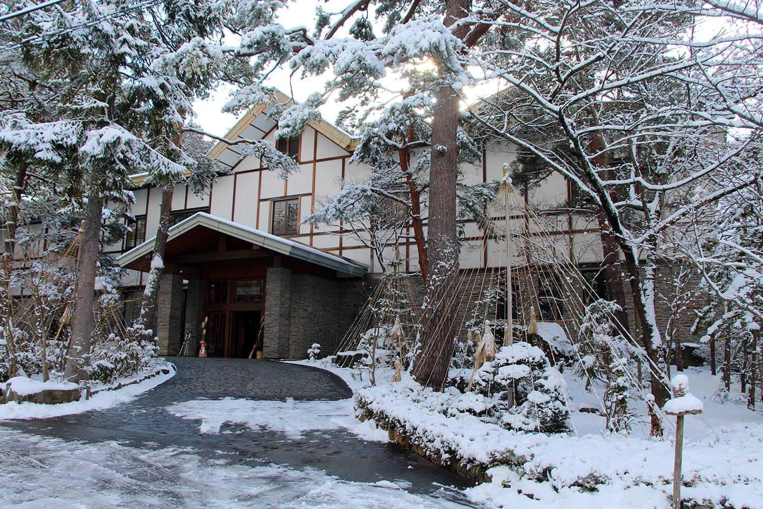 Nagano singes neige snow monkey_8