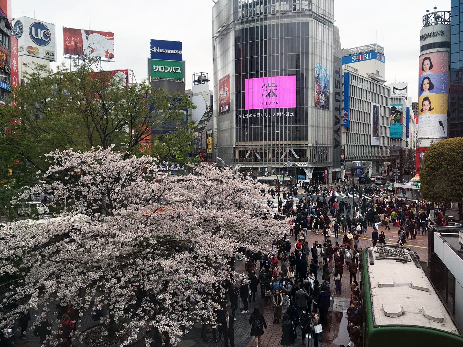 Sakura Tokyo 2016_49