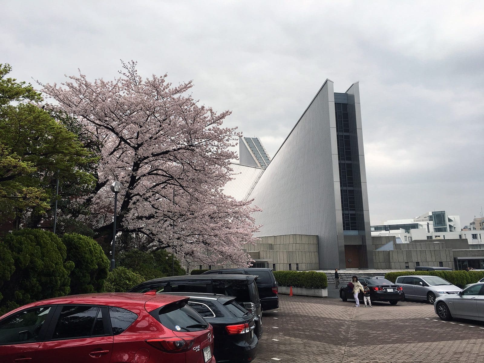 Sakura Tokyo 2016_54