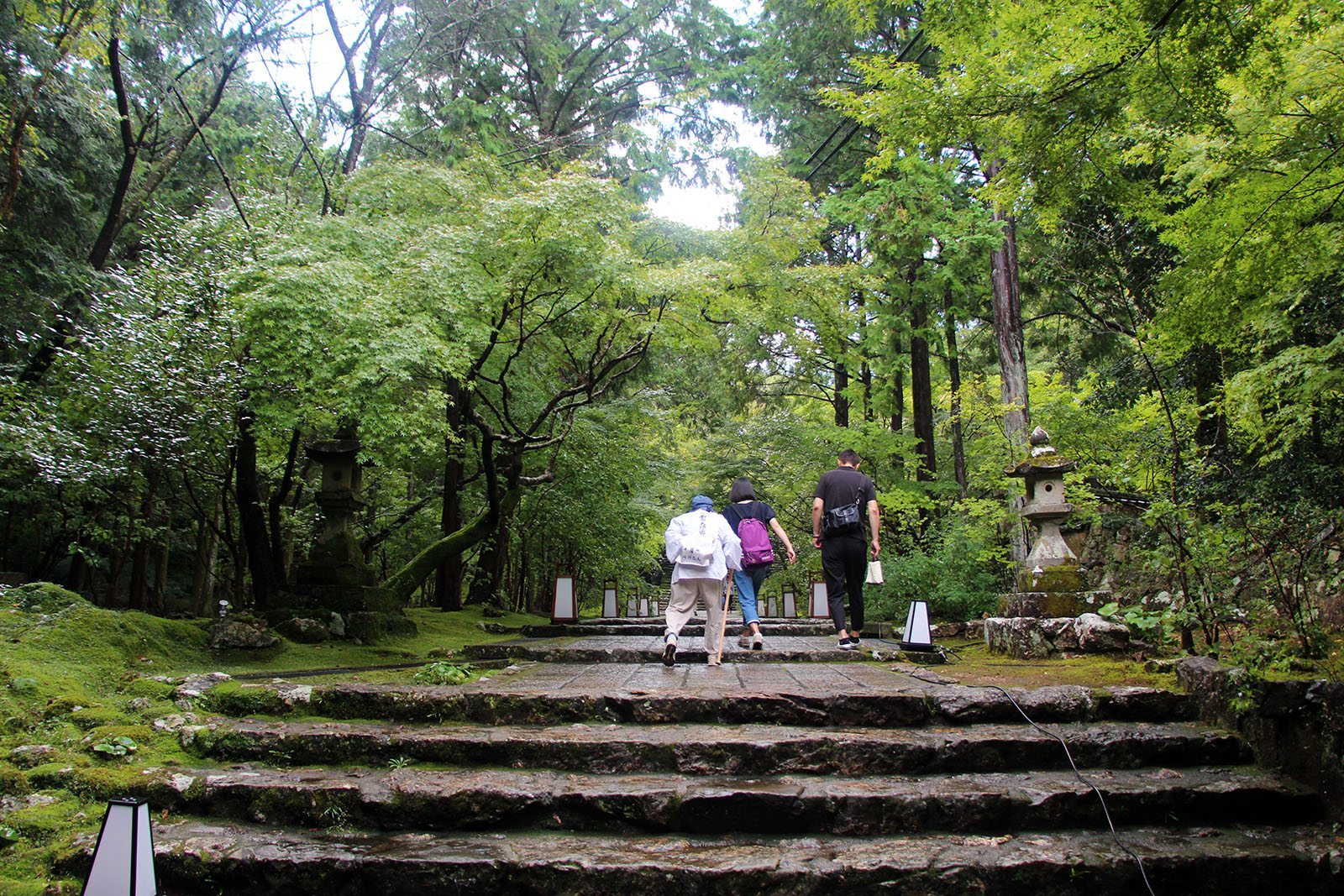 Chikurin-ji temple Shikoku_5