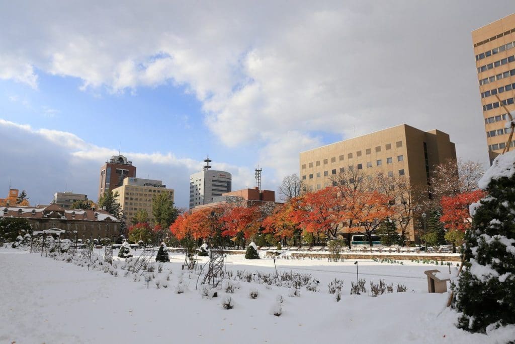 momiji neige_1