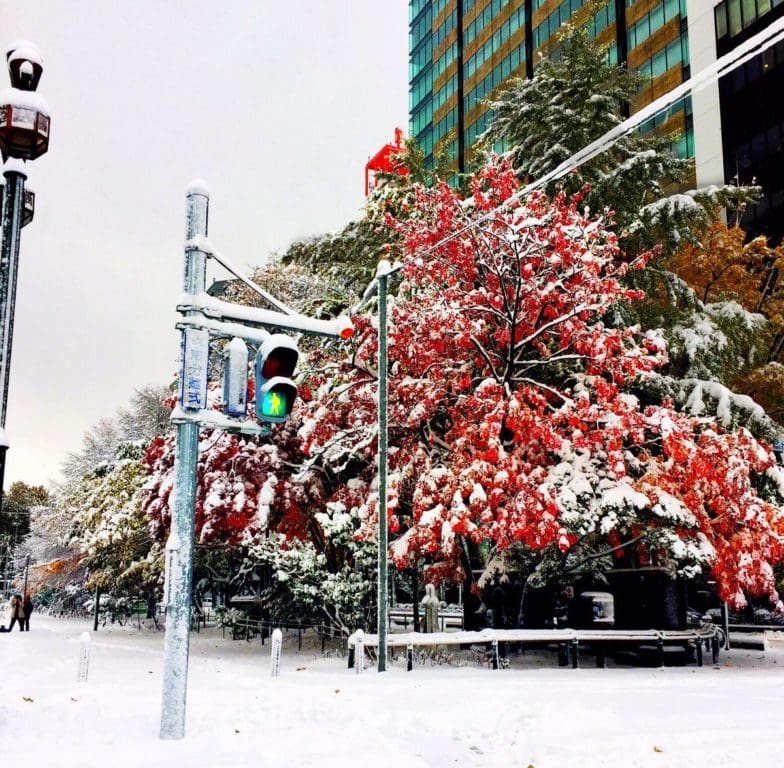 momiji-neige_10