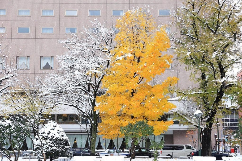 momiji neige_2