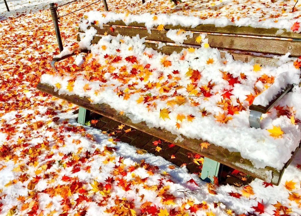 momiji neige_5