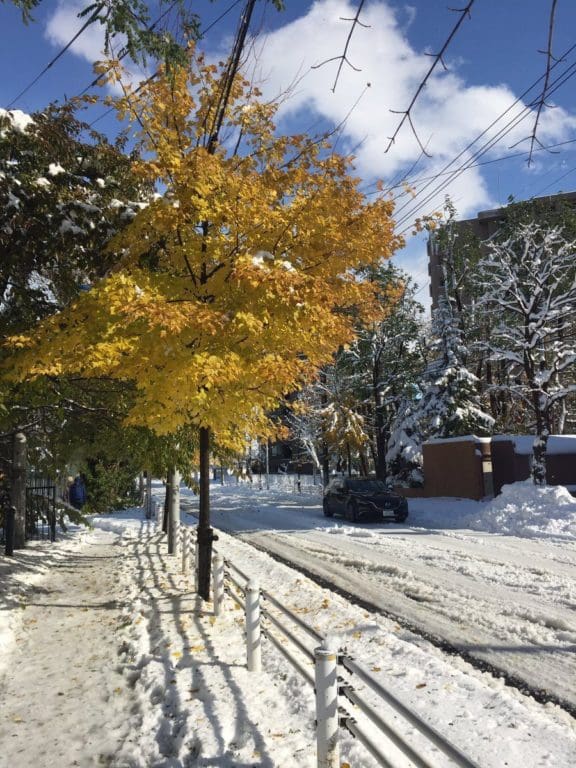 momiji neige_8