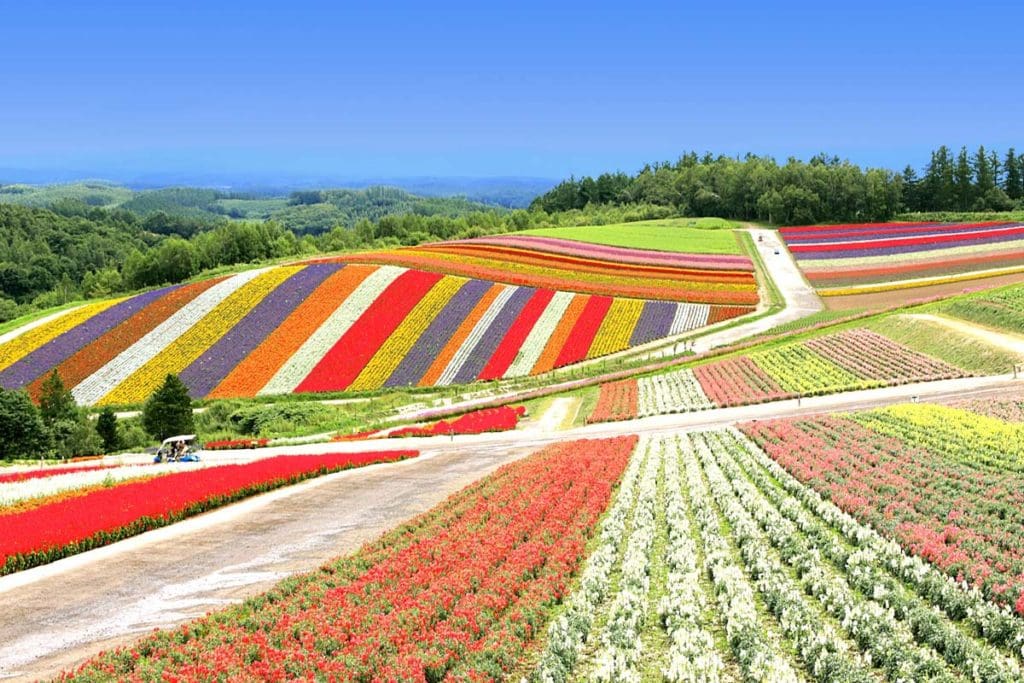 hokkaido-marchand-de-couleurs-de-l-t-japonais