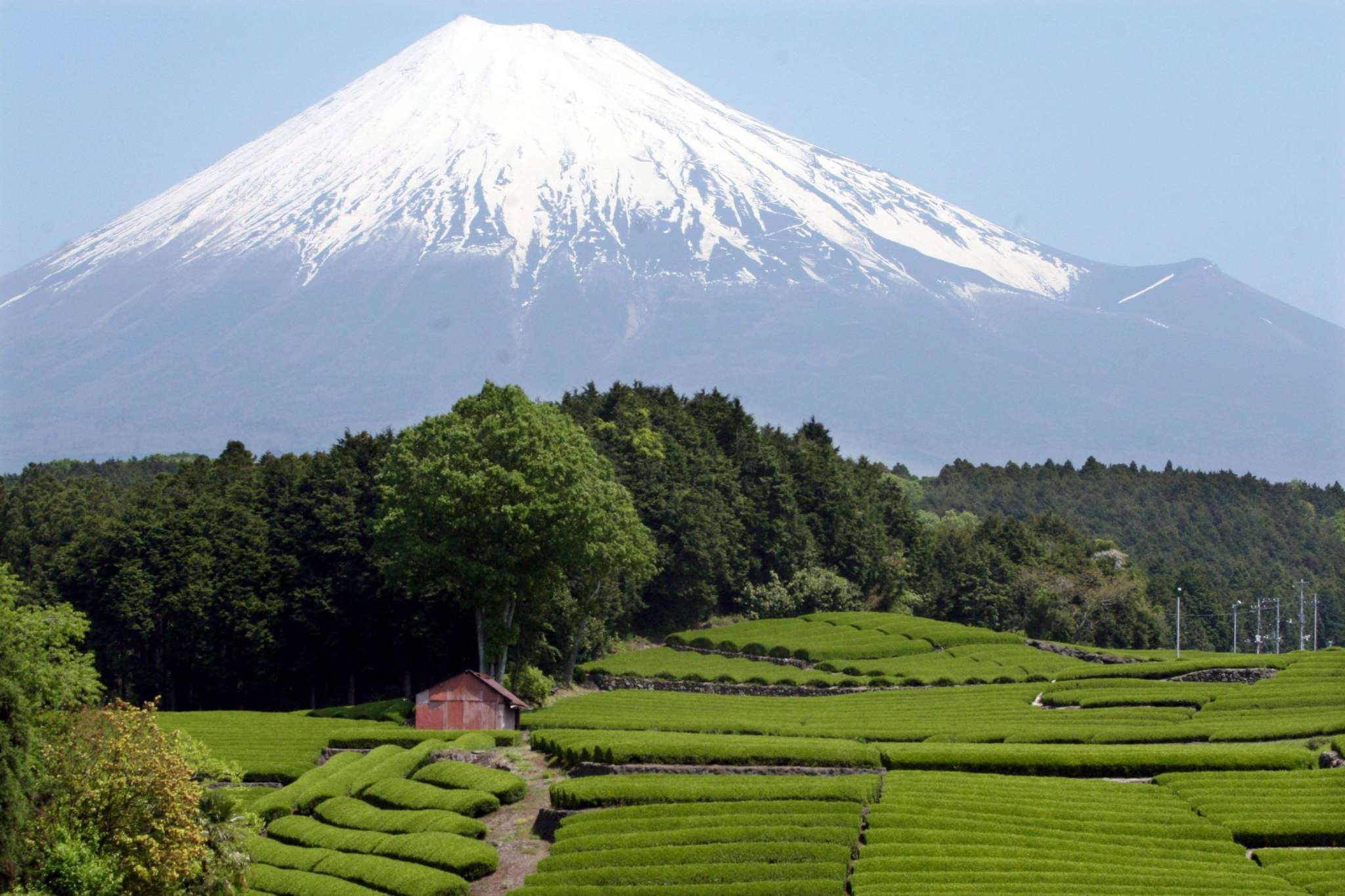 Фудзи это. Гора Фудзияма в Японии. Гора Фудзи в Японии. Гора Фудзи (остров Хонсю). Гора Фудзияма в Японии фото.