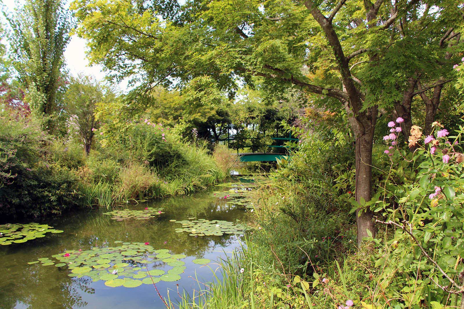 jardin-monet-marmottan-kitagawa-shikoku-japon_2