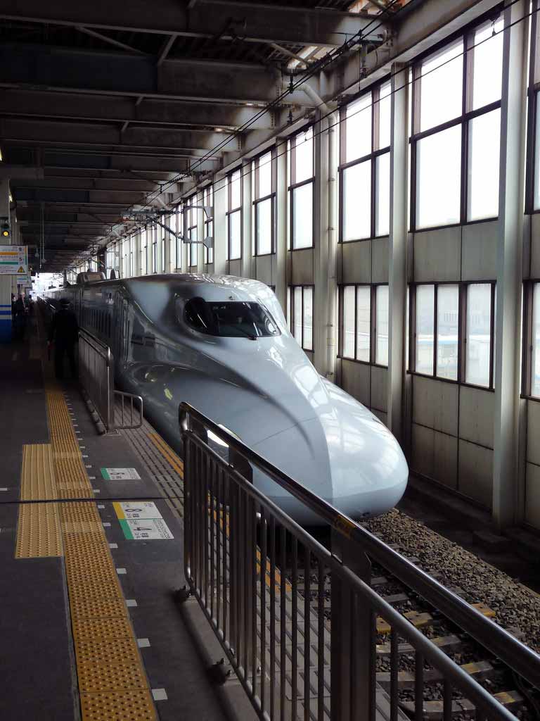 sakura-shinkansen