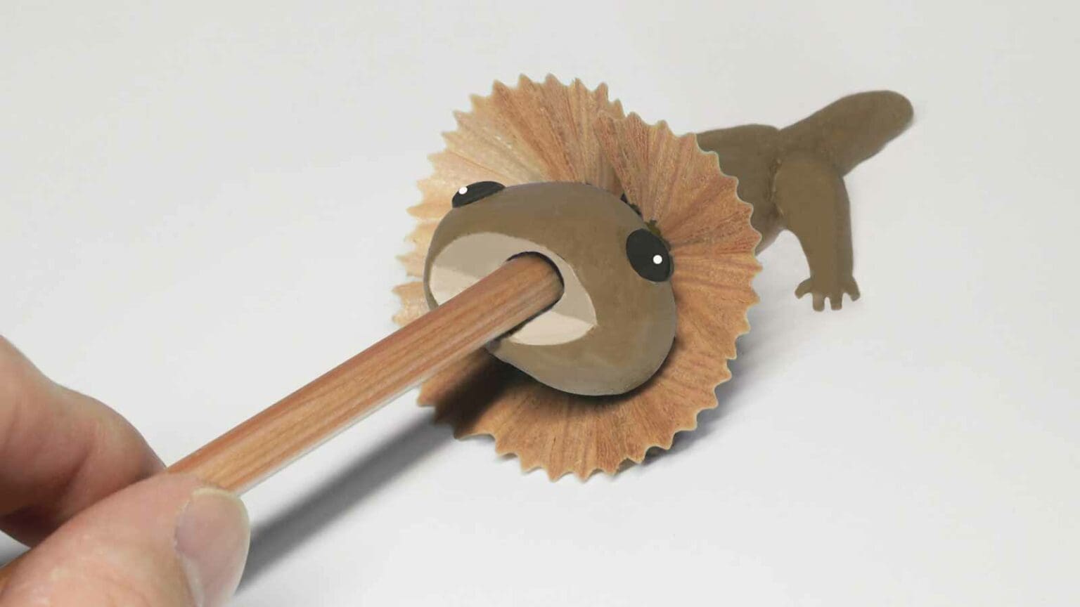 Le taillecrayon qui se transforme en lézard à collerette de Michiru